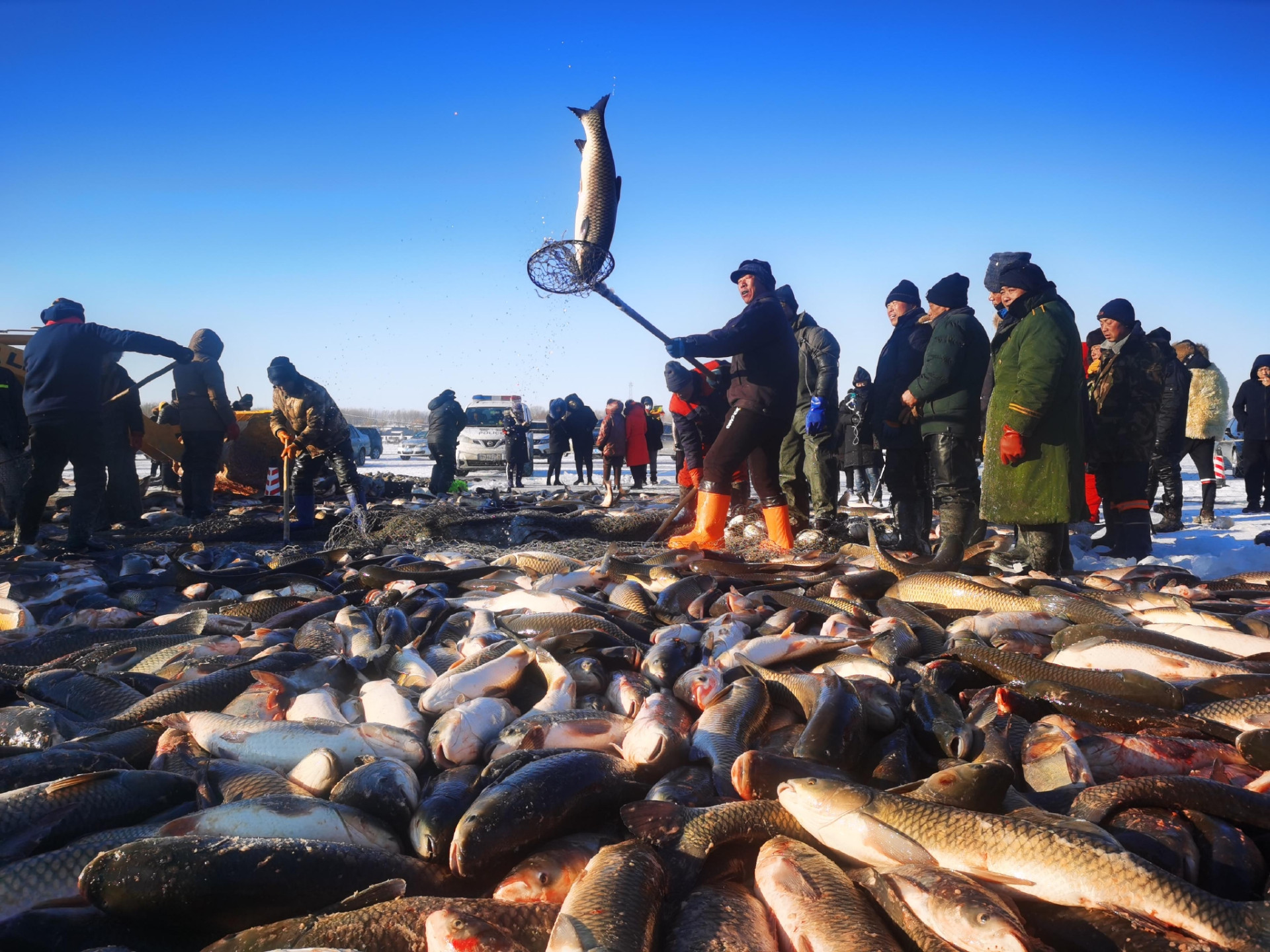 北京润达T-100S高速塑封机助力查干湖冬捕冷链包装工厂实录！